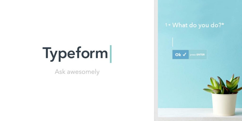 The picture shows an interview tool for your startup, namely TypeForm