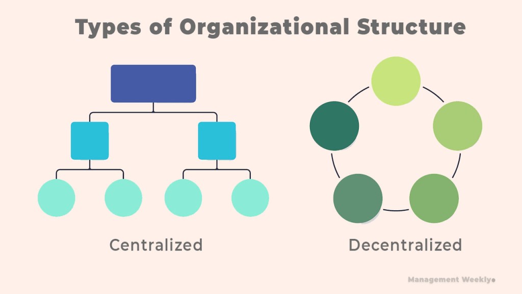 The picture shows the types of organizational structure