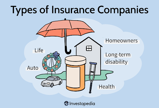 the image shows the types of insurance companies