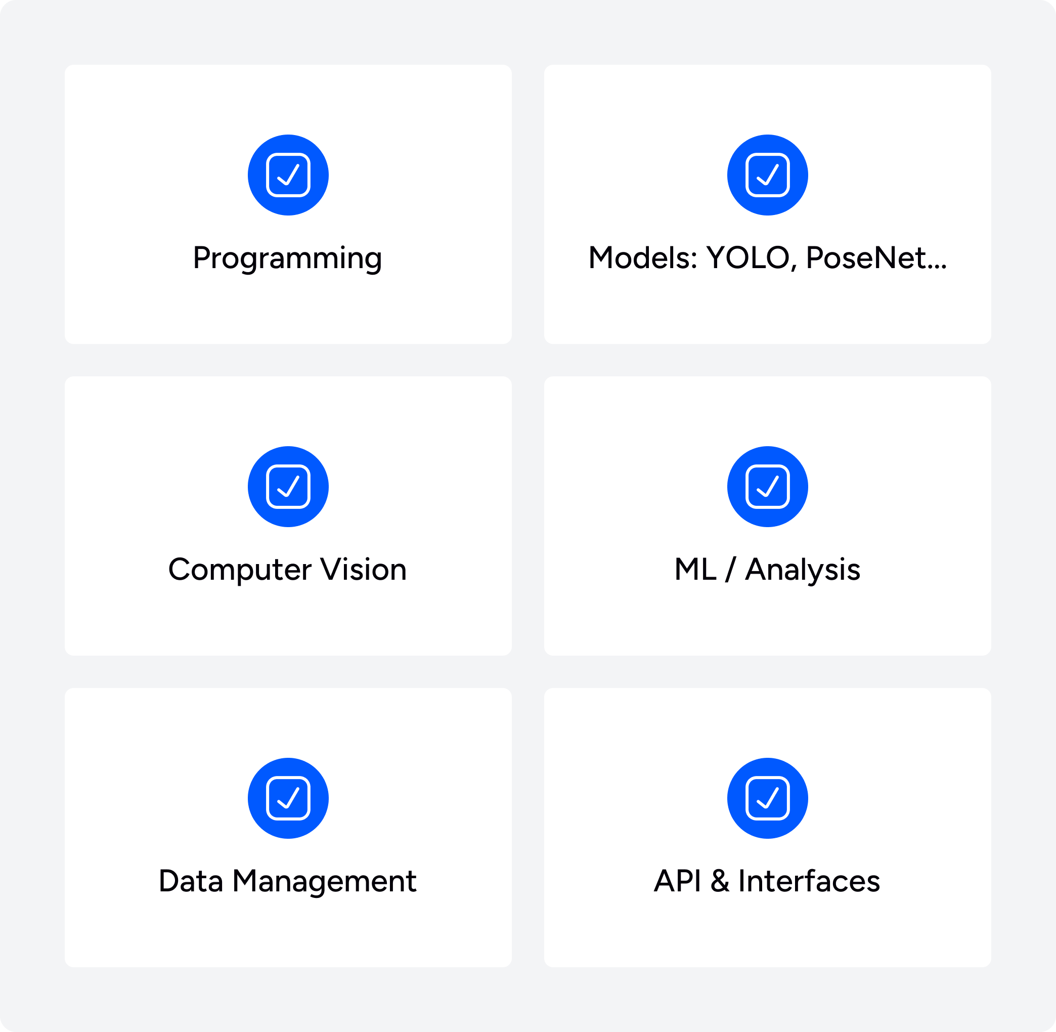 Challenges of Developing AI-Powered Computer Vision Systems